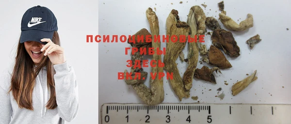 хмурый Абдулино