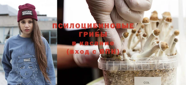 хмурый Абдулино