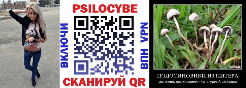 Псилоцибиновые грибы GOLDEN TEACHER  кракен как войти  Новосибирск 