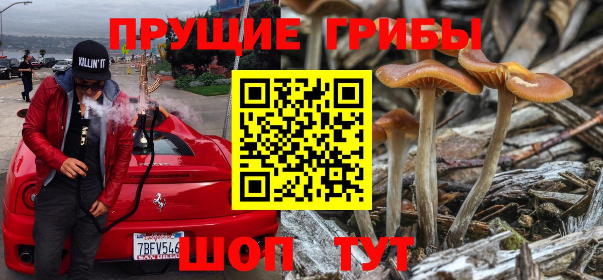 Псилоцибиновые грибы MAGIC MUSHROOMS Новосибирск